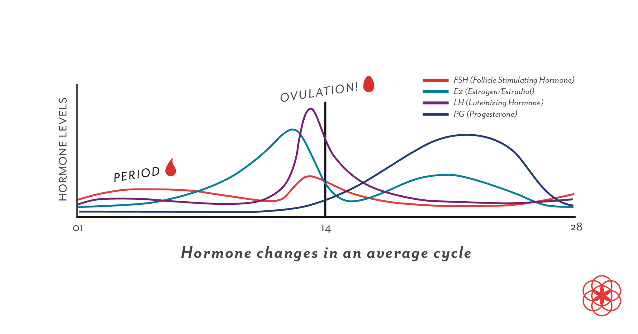 progesterone-101-m-i-i-u-b-n-c-n-bi-t-v-homrone-nh-h-ng-n-kinh